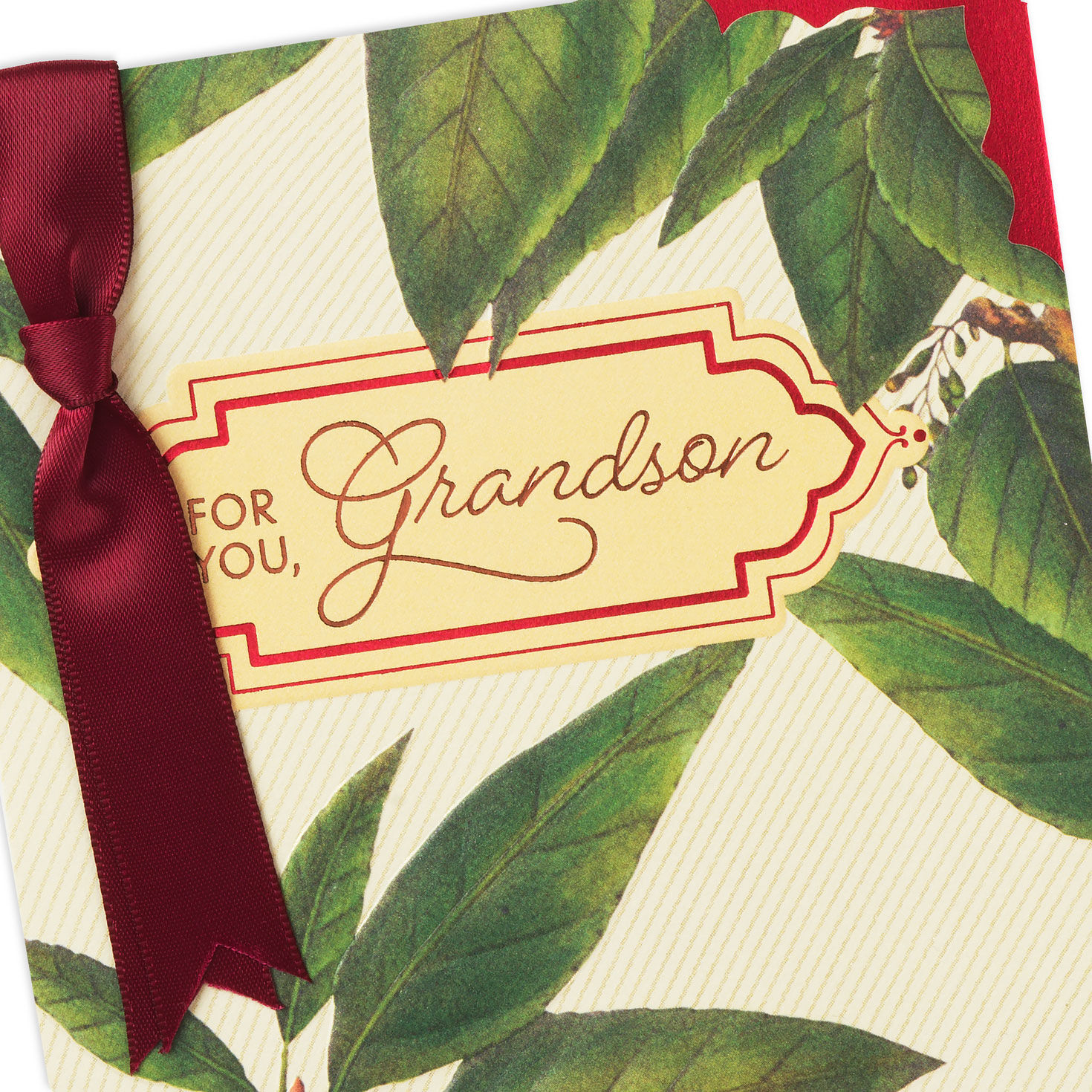 10578-easy-to-be-proud-of-you-birthday-card-for-grandson-5.jpg Easy to Be Proud of You Birthday Card for Grandson