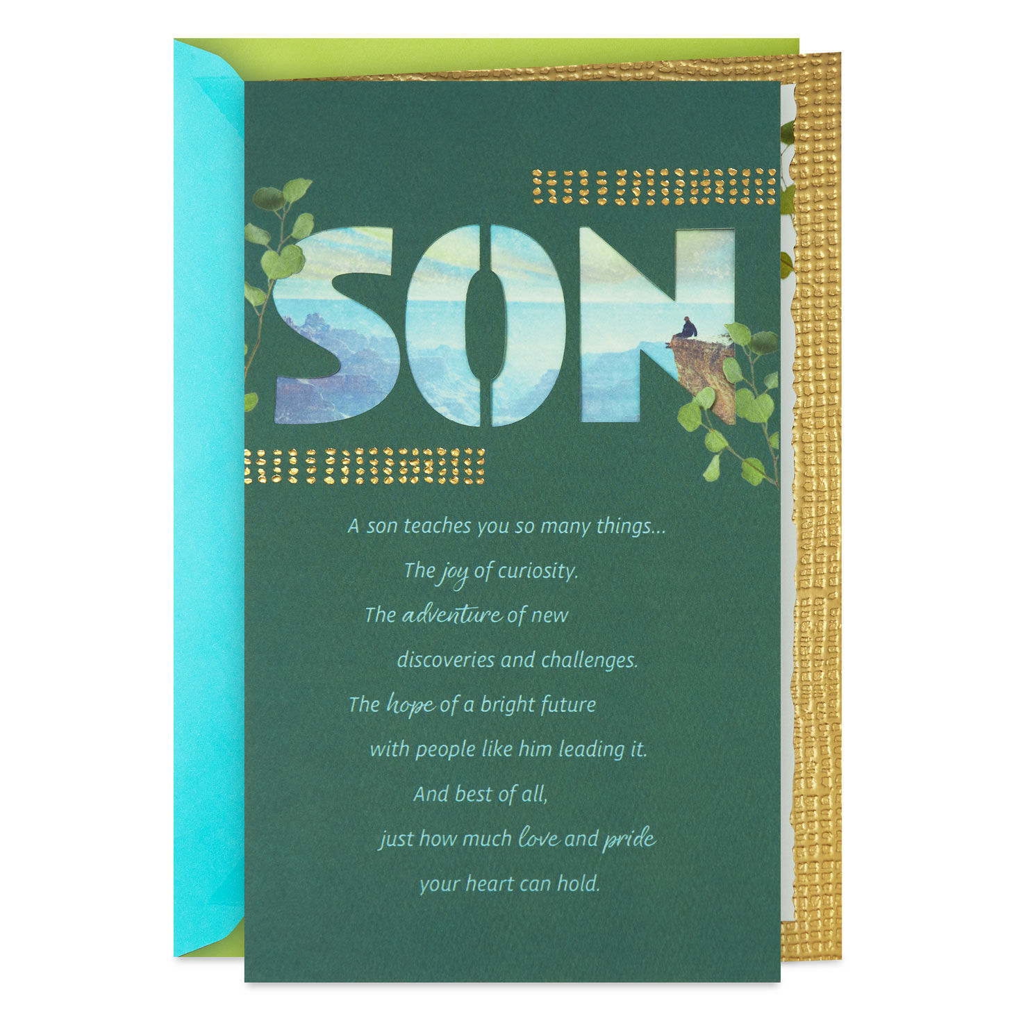 A Son Teaches You So Much Birthday Card for Son
