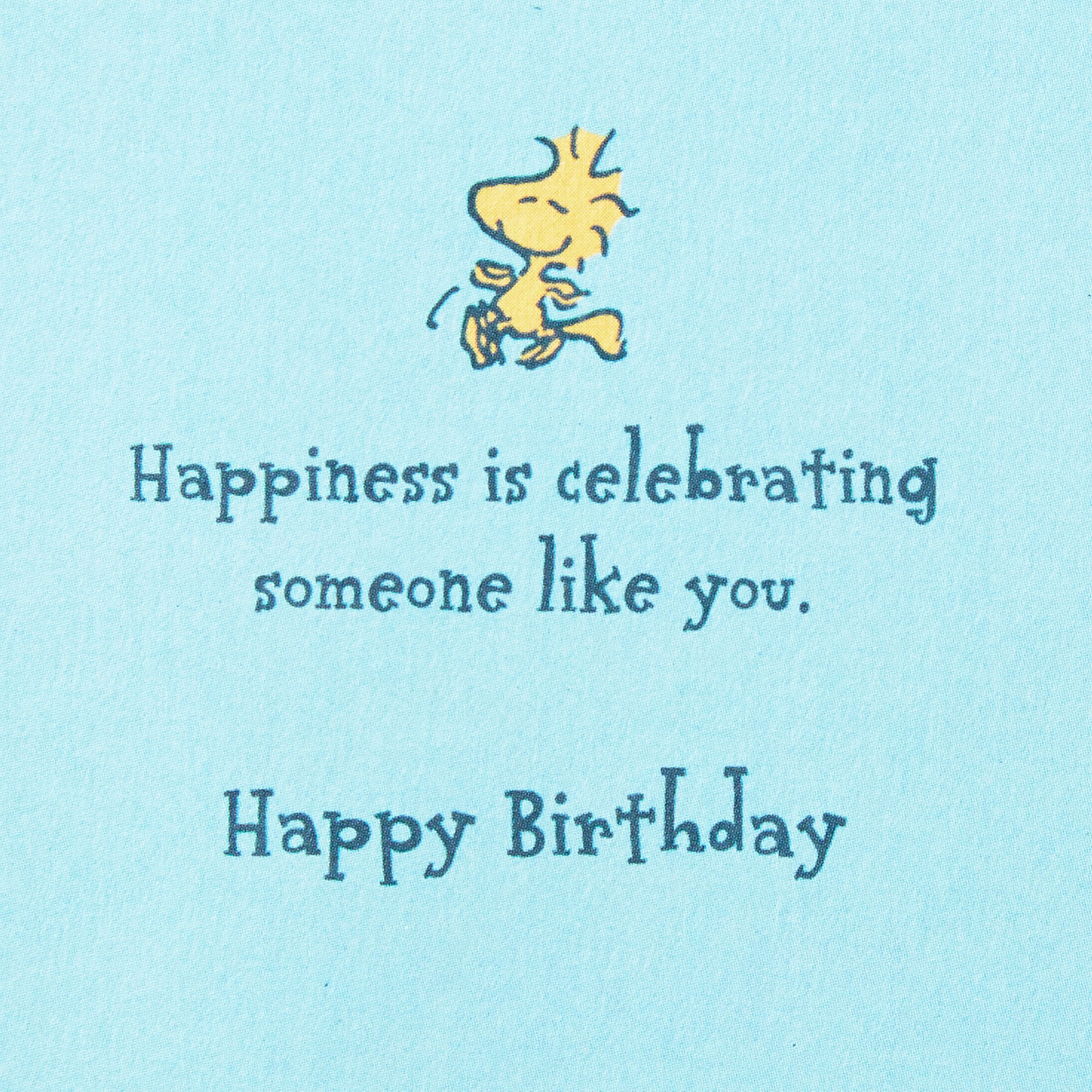10904-peanuts-snoopy-and-woodstock-happiness-is-celebrating-you-birthday-card-2.jpg Peanuts® Snoopy and Woodstock Happiness Is Celebrating You Birthday Card