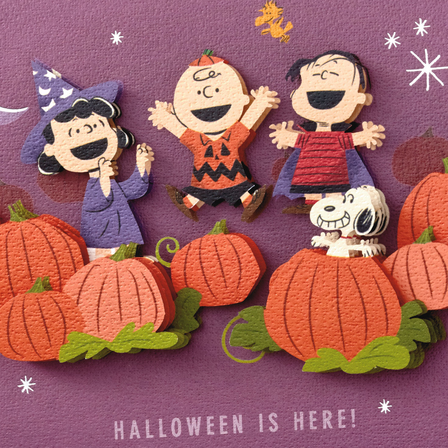 10986-peanuts-gang-in-the-pumpkin-patch-halloween-card-4.jpg Peanuts® Gang in the Pumpkin Patch Halloween Card
