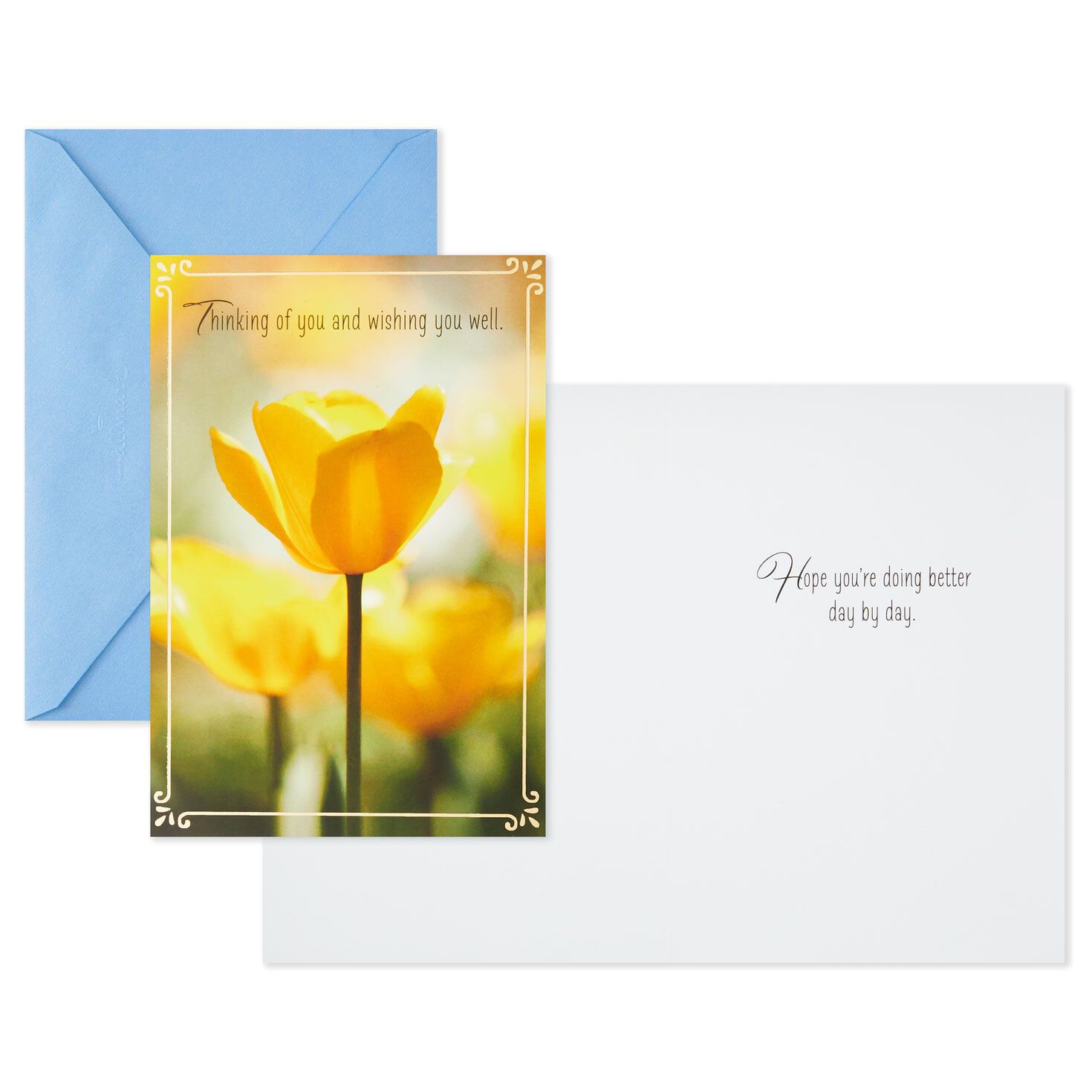11040-nature-scenes-assorted-support-and-sympathy-cards-pack-of-8-2.jpg Nature Scenes Assorted Support and Sympathy Cards, Pack of 8