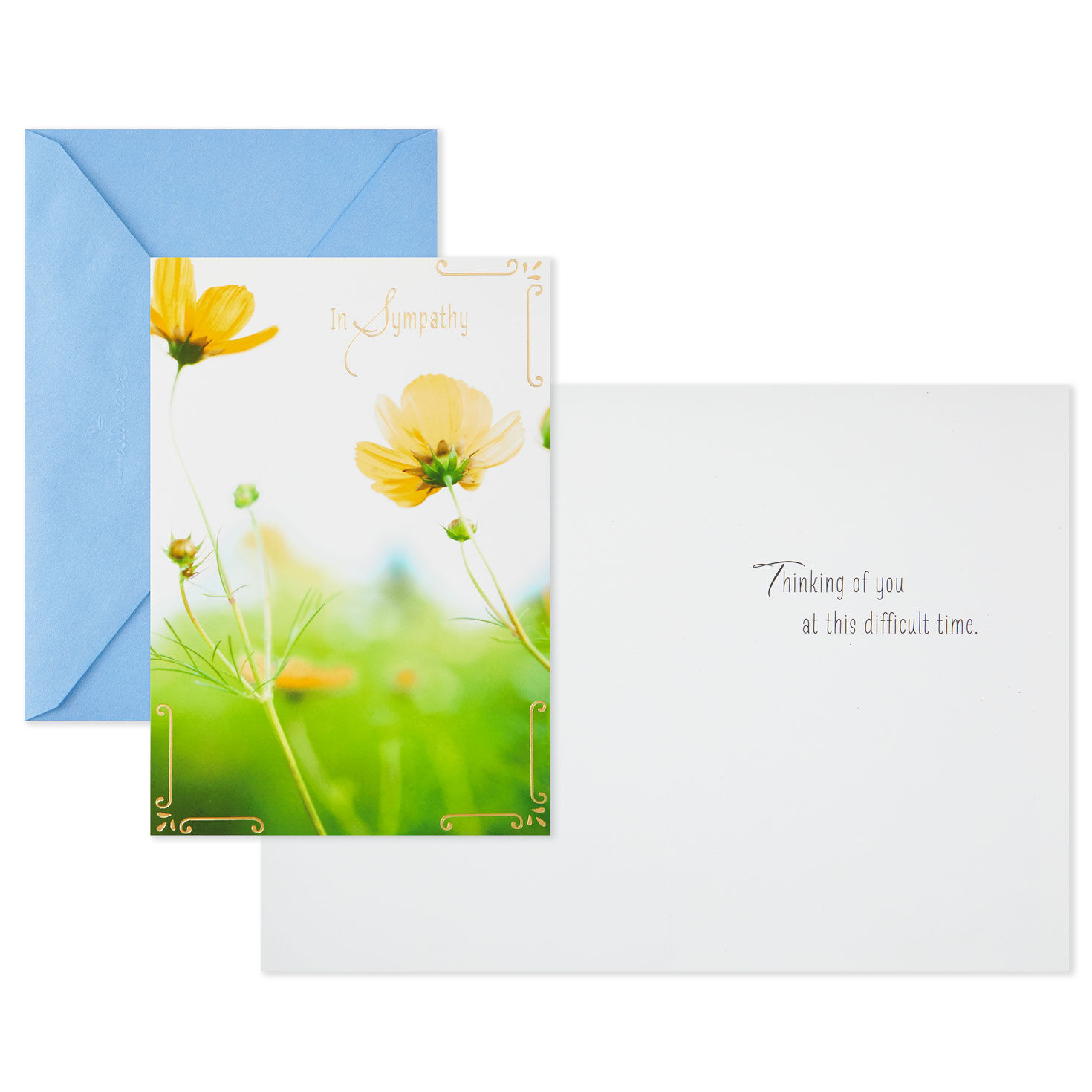 11040-nature-scenes-assorted-support-and-sympathy-cards-pack-of-8-3.jpg Nature Scenes Assorted Support and Sympathy Cards, Pack of 8
