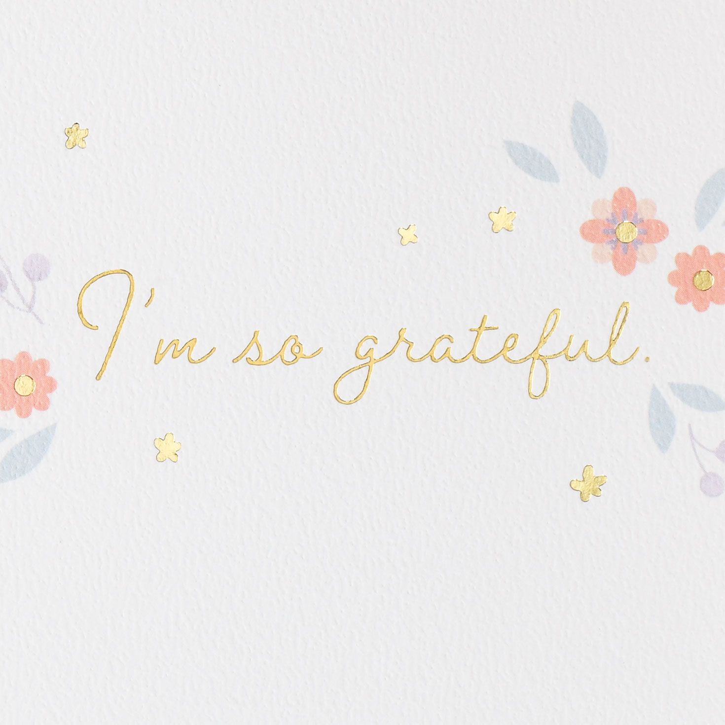 11114-pink-and-purple-flowers-so-grateful-thank-you-card-2.jpg Pink and Purple Flowers So Grateful Thank-You Card
