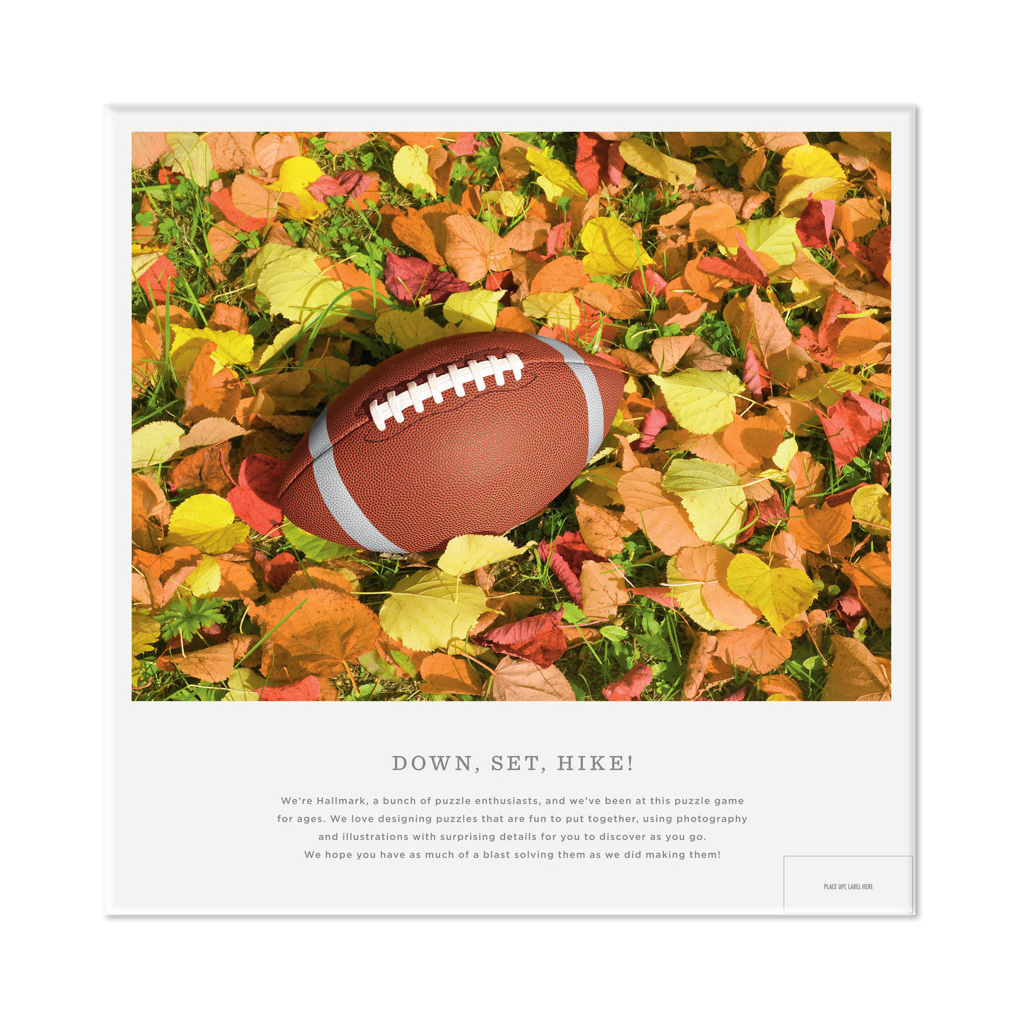 2598-down-set-hike-550-piece-jigsaw-puzzle-5.jpg Down, Set, Hike! 550-Piece Jigsaw Puzzle