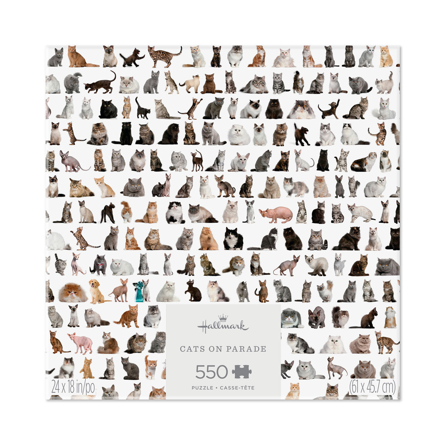 2603-cats-on-parade-550-piece-jigsaw-puzzle-1.jpg Cats on Parade 550-Piece Jigsaw Puzzle