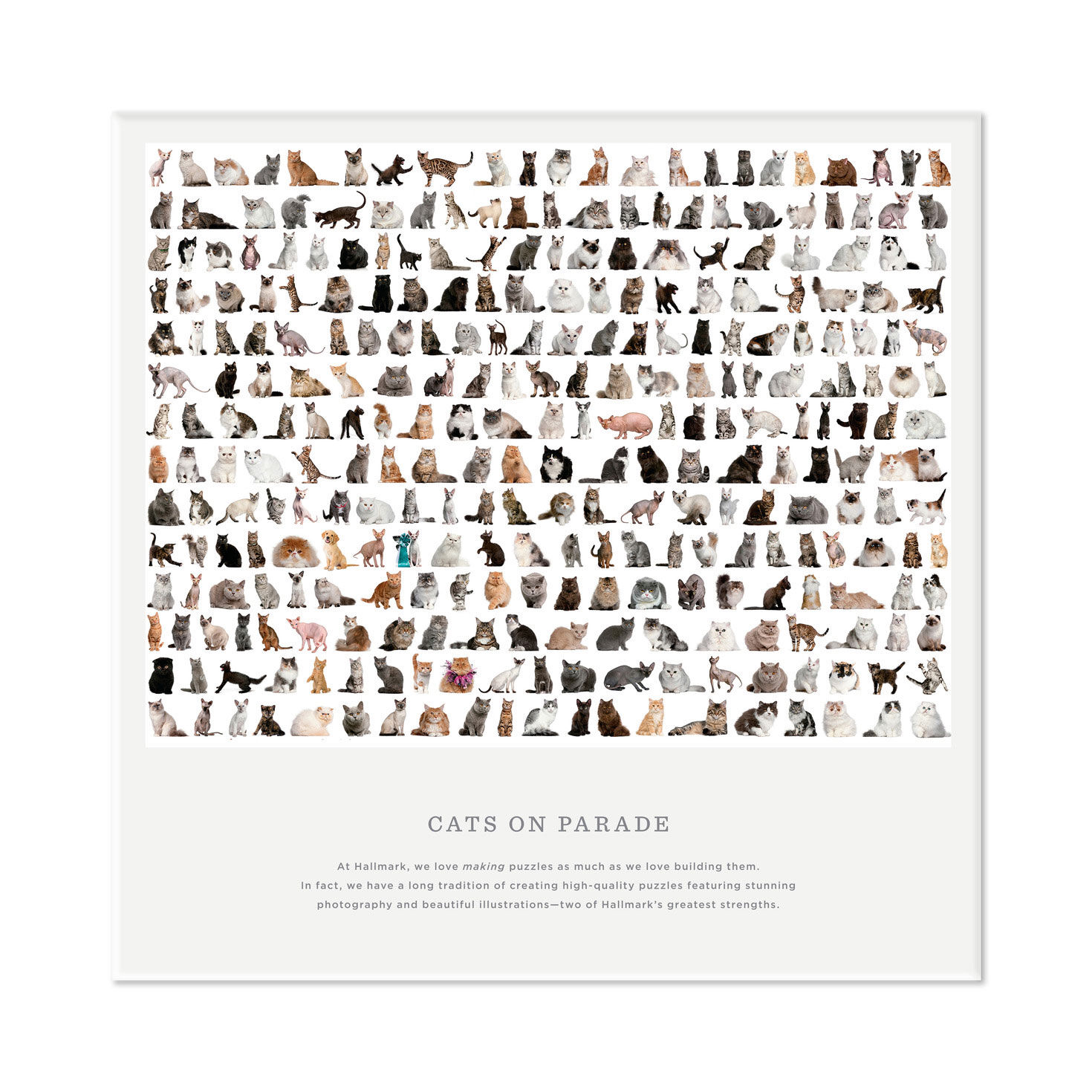 2603-cats-on-parade-550-piece-jigsaw-puzzle-4.jpg Cats on Parade 550-Piece Jigsaw Puzzle