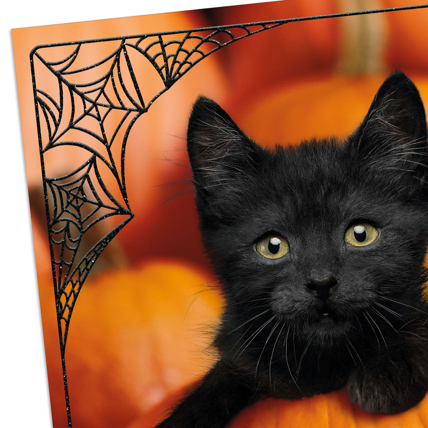 3460-let-the-fun-begin-halloween-card-4.jpg Let the Fun Begin Halloween Card