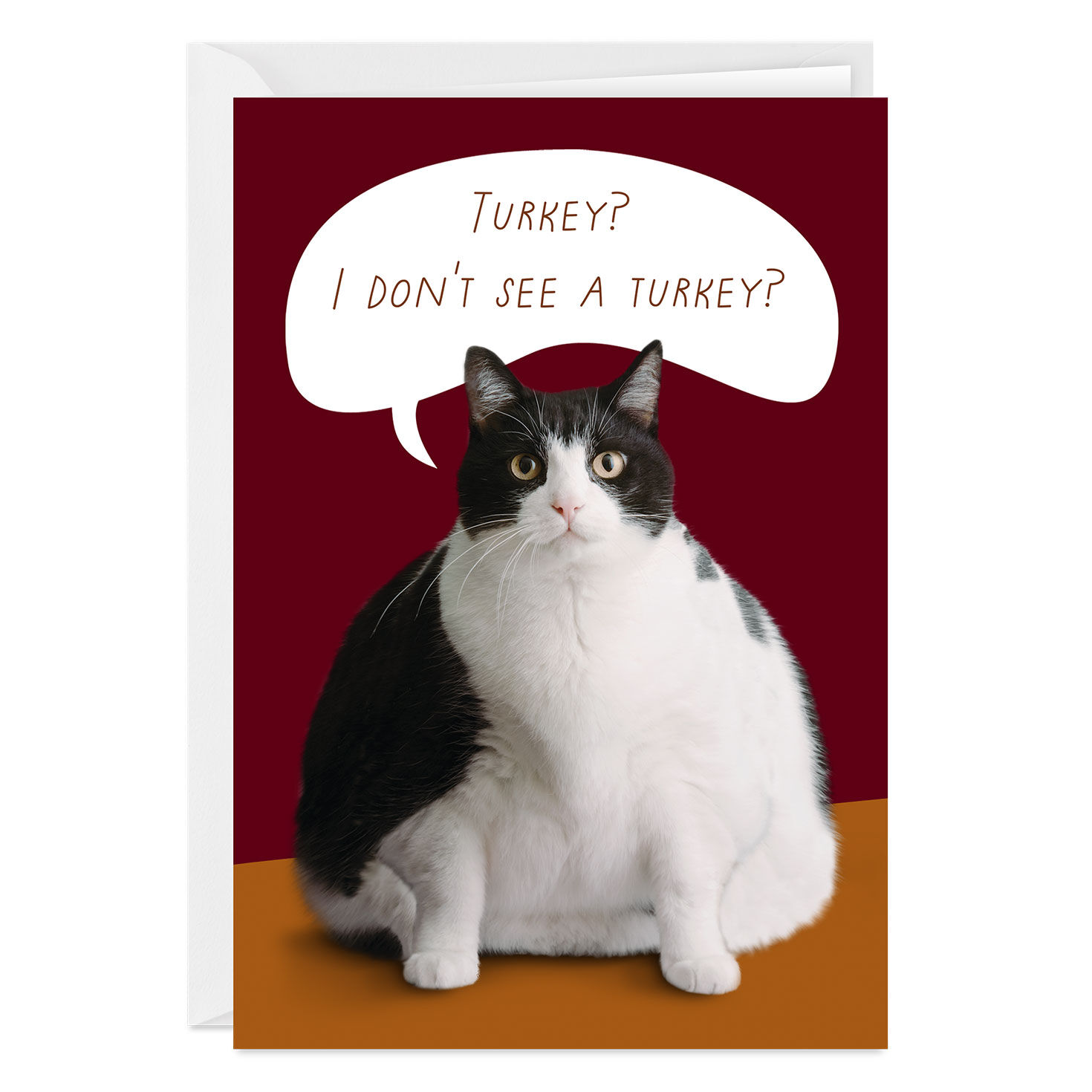 Fat Cat Funny Custom Thanksgiving Card