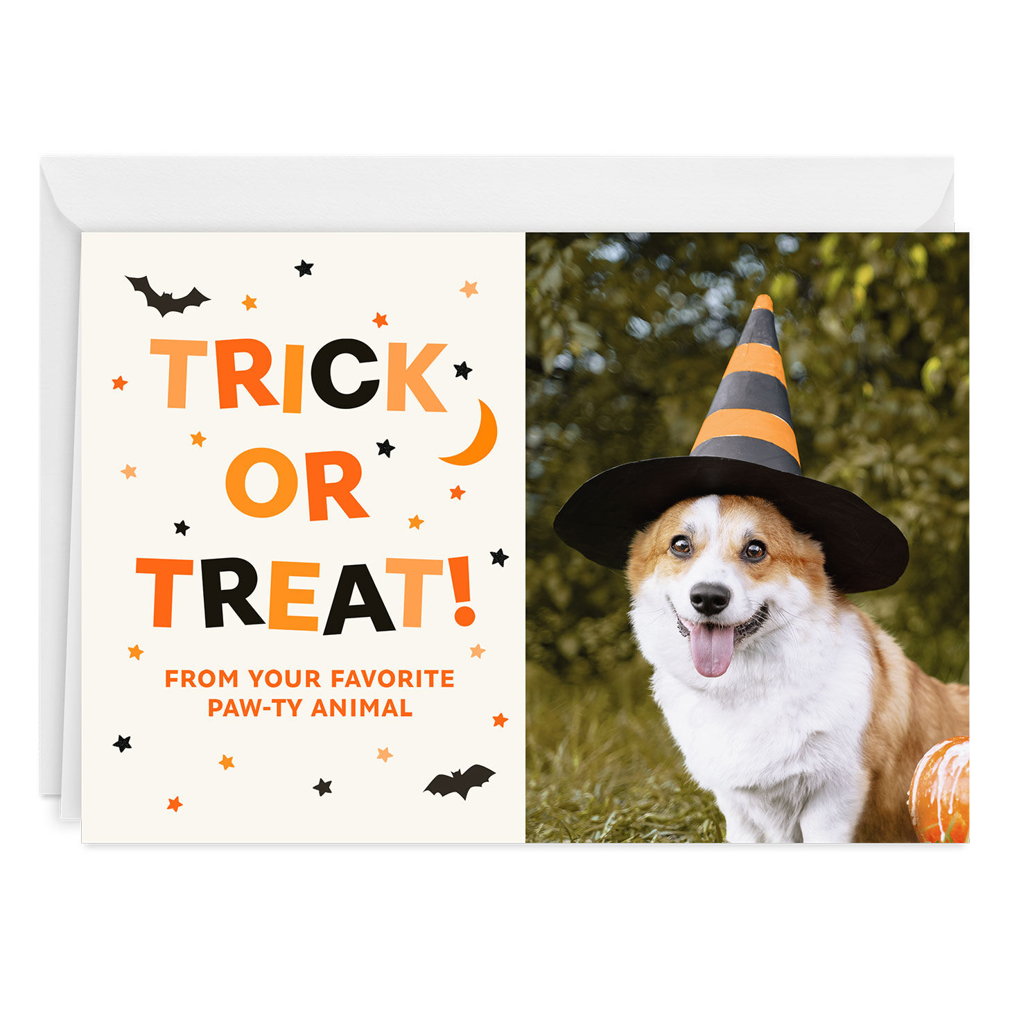 Trick or Treat Paw-ty Animal Custom Halloween Card