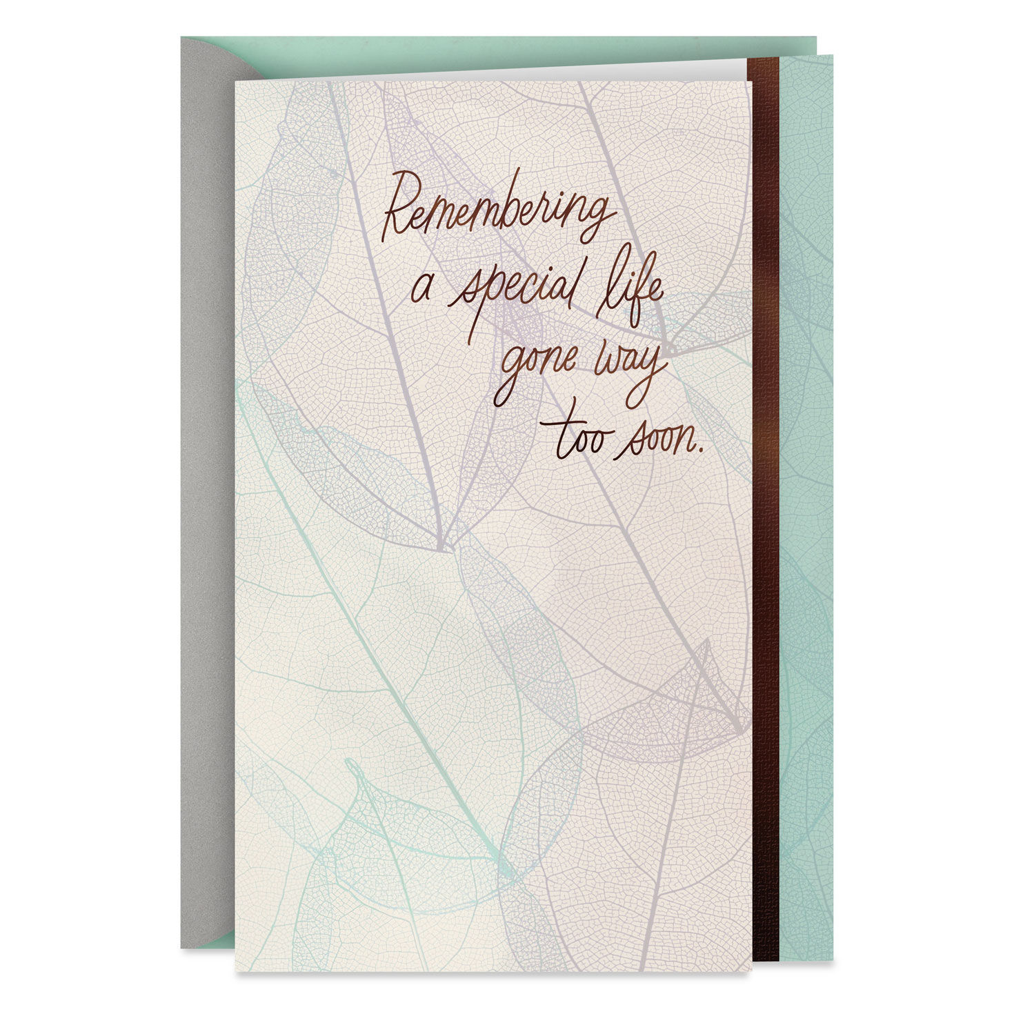 Remembering a Special Life Gone Too Soon Sympathy Card