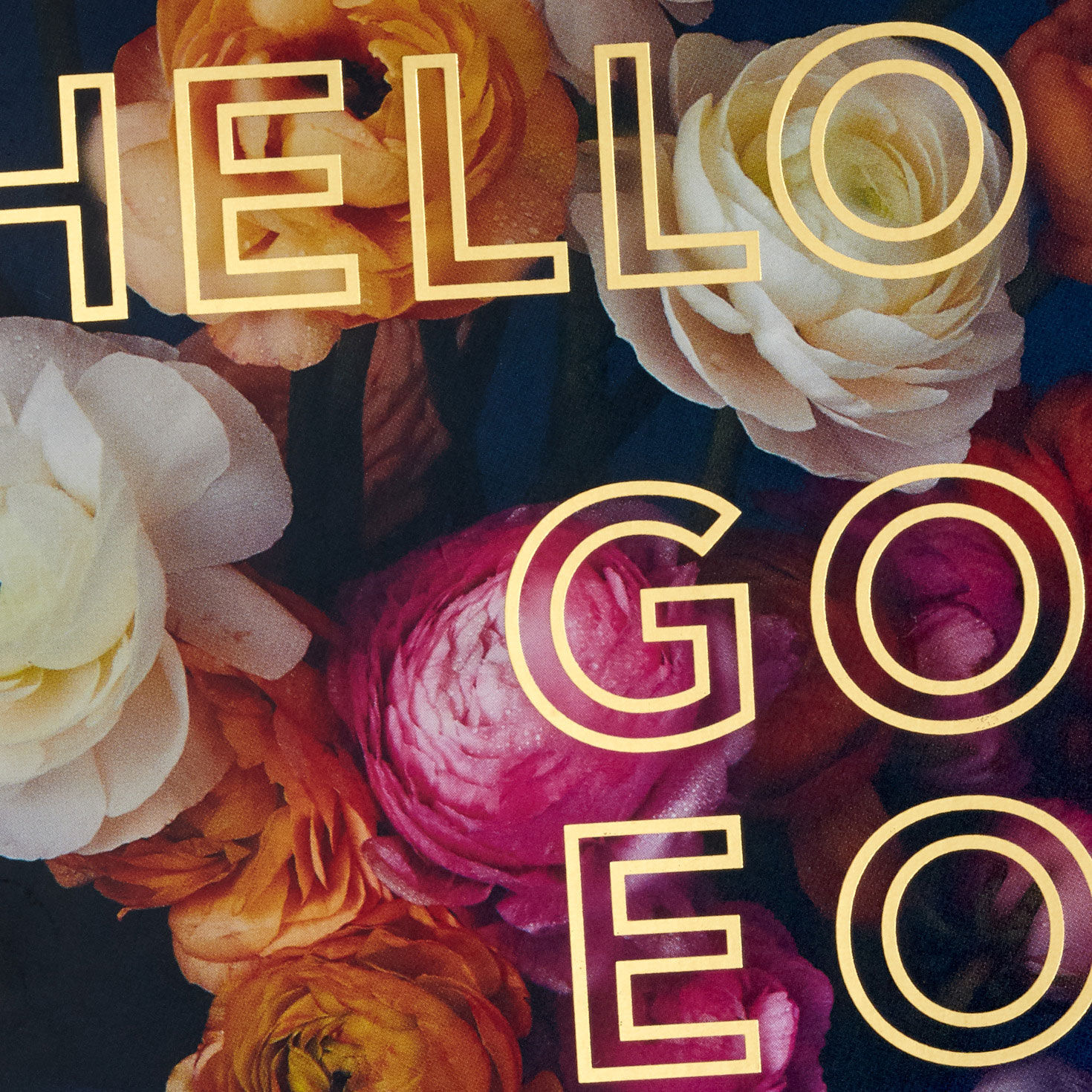 5167-floral-hello-gorgeous-boxed-blank-notes-pack-of-10-3.jpg Floral Hello Gorgeous Boxed Blank Notes, Pack of 10