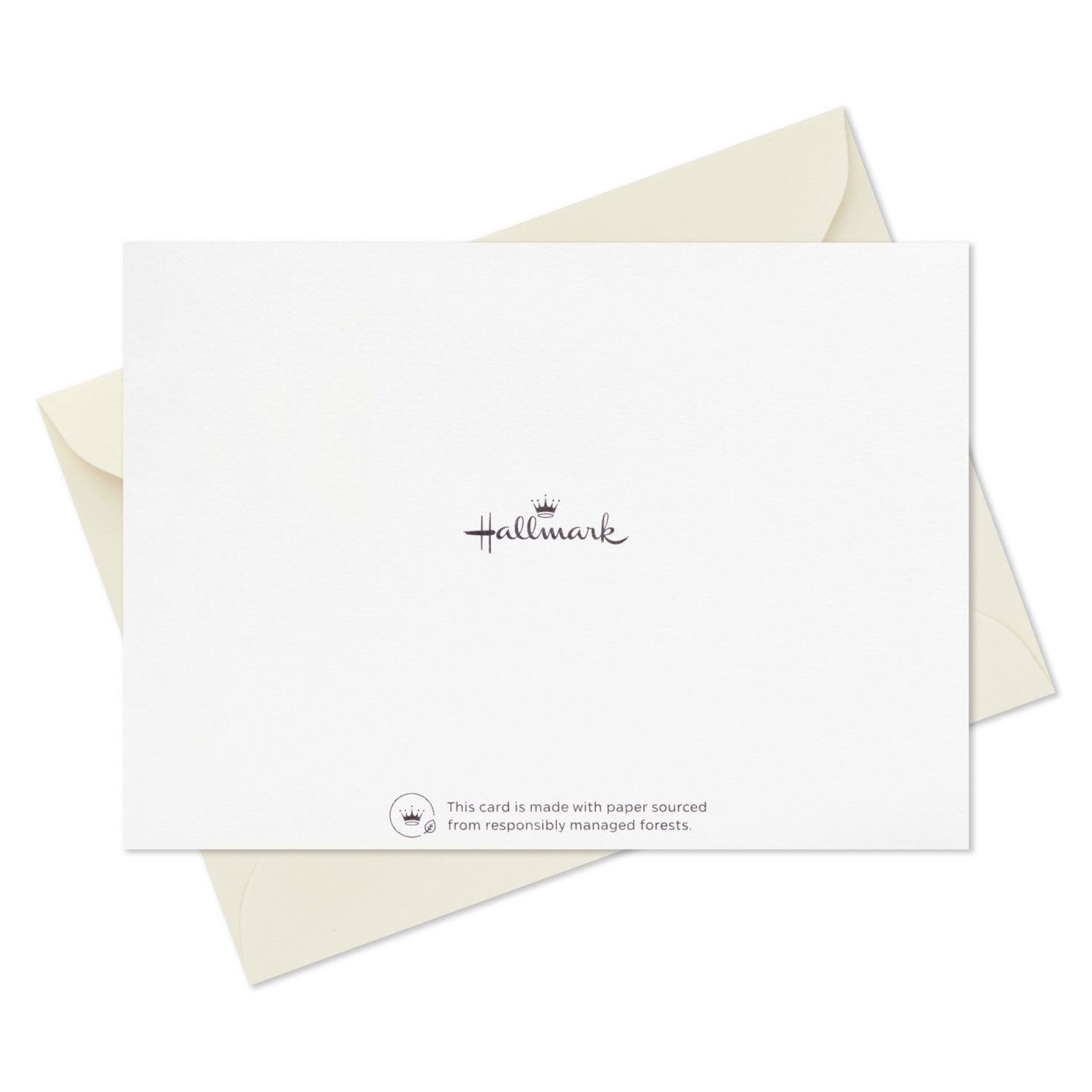5167-floral-hello-gorgeous-boxed-blank-notes-pack-of-10-5.jpg Floral Hello Gorgeous Boxed Blank Notes, Pack of 10