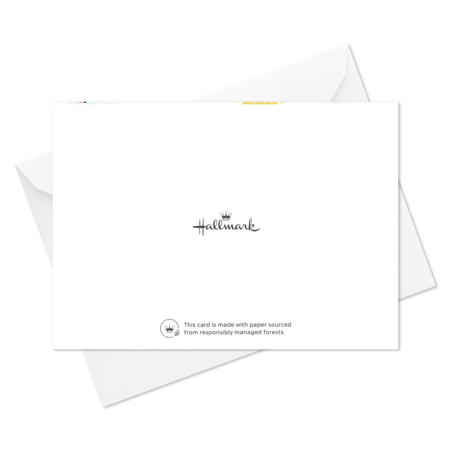 5196-painterly-flowers-blank-notes-pack-of-10-6.jpg Painterly Flowers Blank Notes, Pack of 10