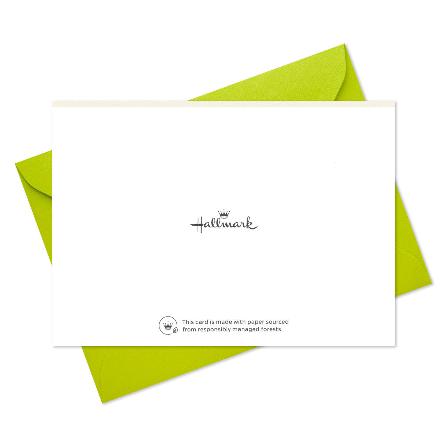 5265-colorful-pennant-banner-blank-thank-you-notes-pack-of-10-6.jpg Colorful Pennant Banner Blank Thank You Notes, Pack of 10