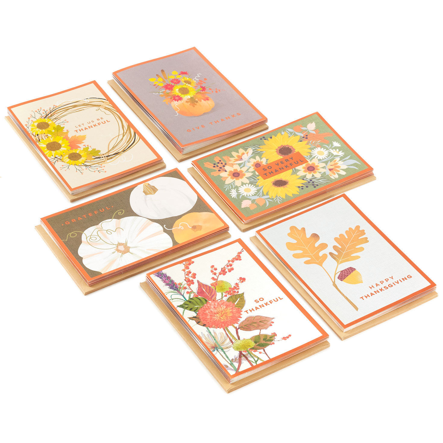 Autumn Botanicals Assorted Thanksgiving Cards, Pack of 36