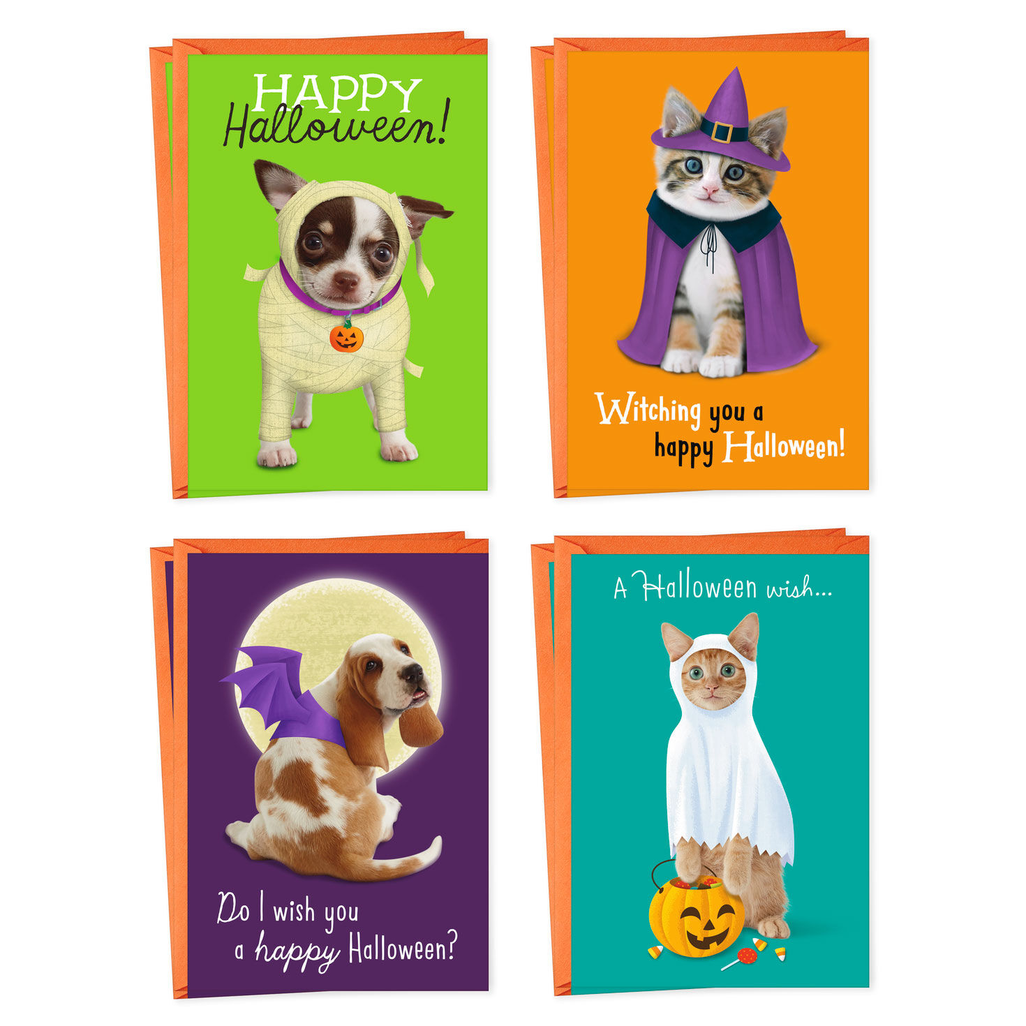Pets in Costume Assorted Halloween Cards, Pack of 8