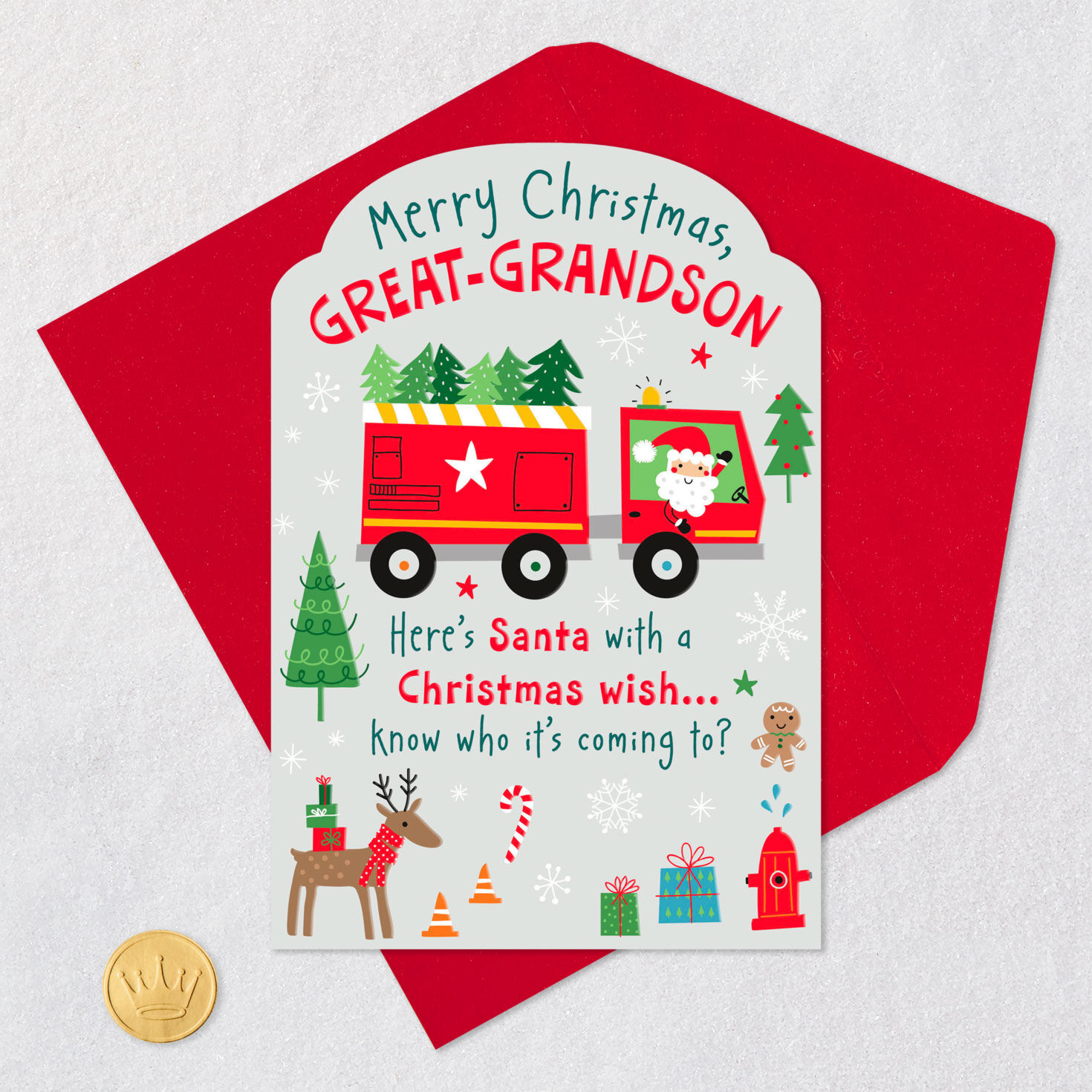 Great Description About Christmas Wishes For A Grandson