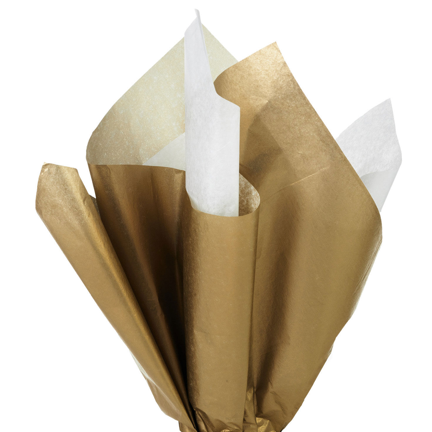 Solid White/Metallic Gold 2-Pack Holiday Tissue Paper, 6 sheets