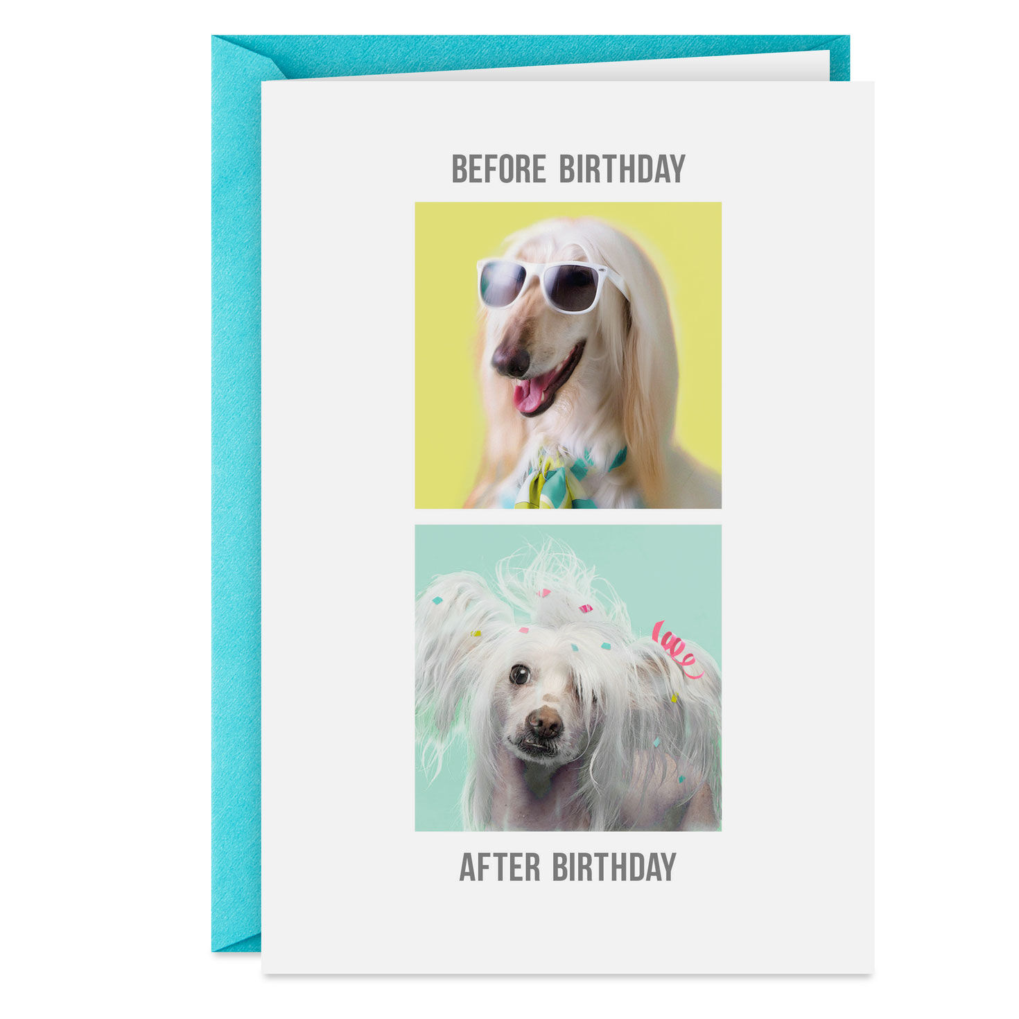 8636-an-extra-day-to-recover-funny-birthday-card-1.jpg An Extra Day to Recover Funny Birthday Card