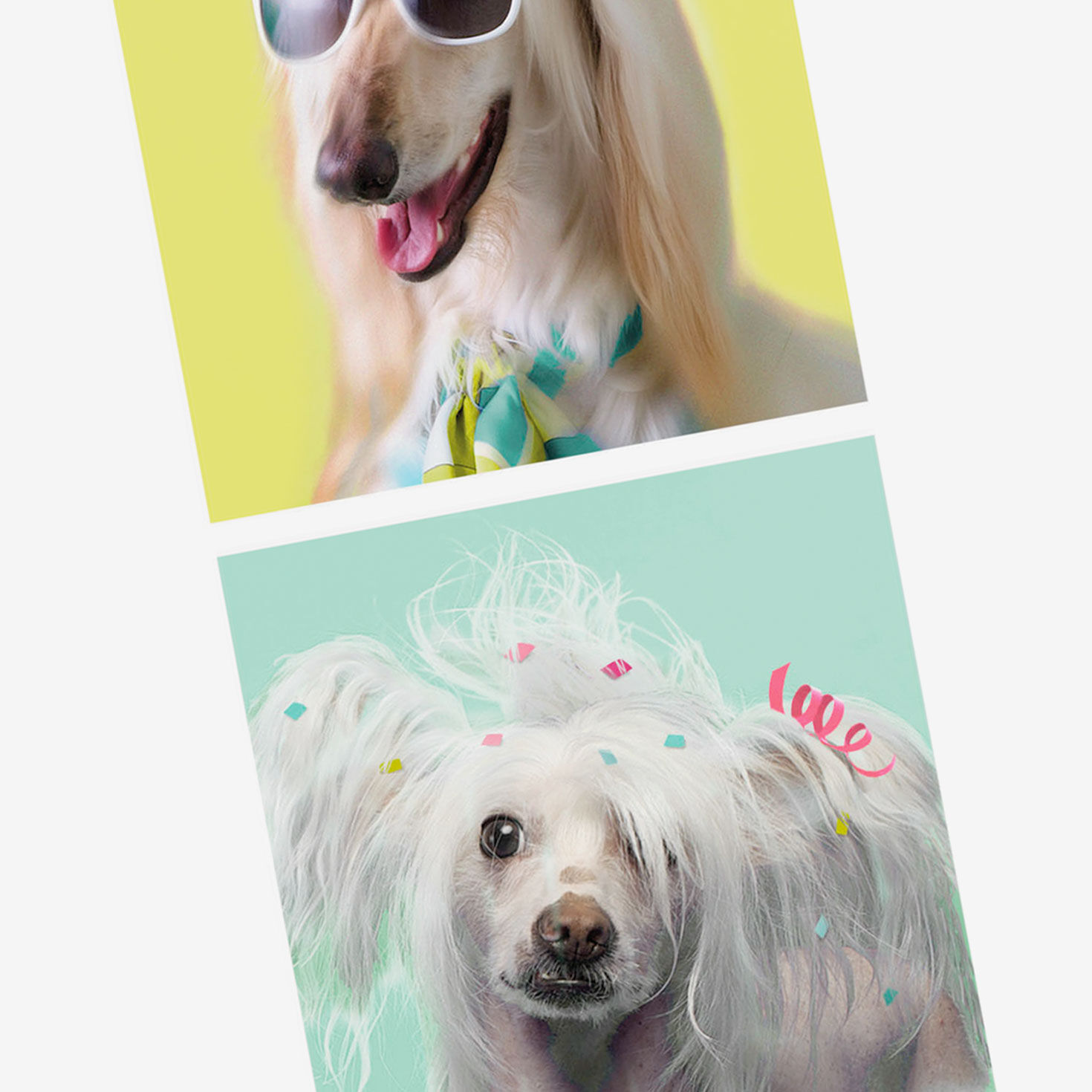 8636-an-extra-day-to-recover-funny-birthday-card-4.jpg An Extra Day to Recover Funny Birthday Card