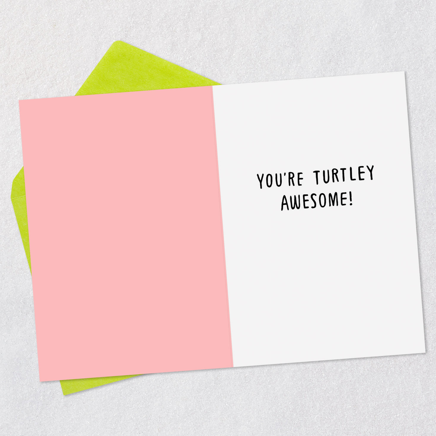 8715-turtley-awesome-funny-card-3.jpg Turtley Awesome Funny Card