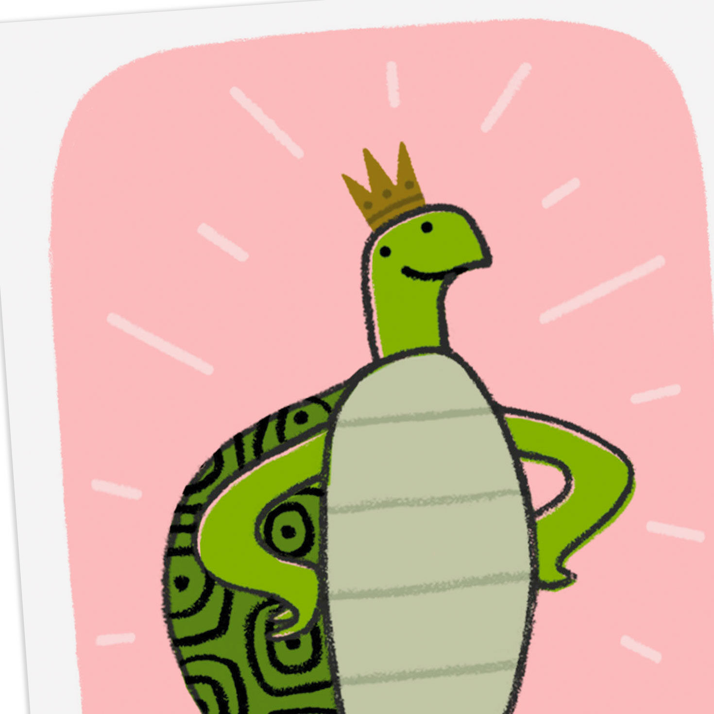 8715-turtley-awesome-funny-card-4.jpg Turtley Awesome Funny Card