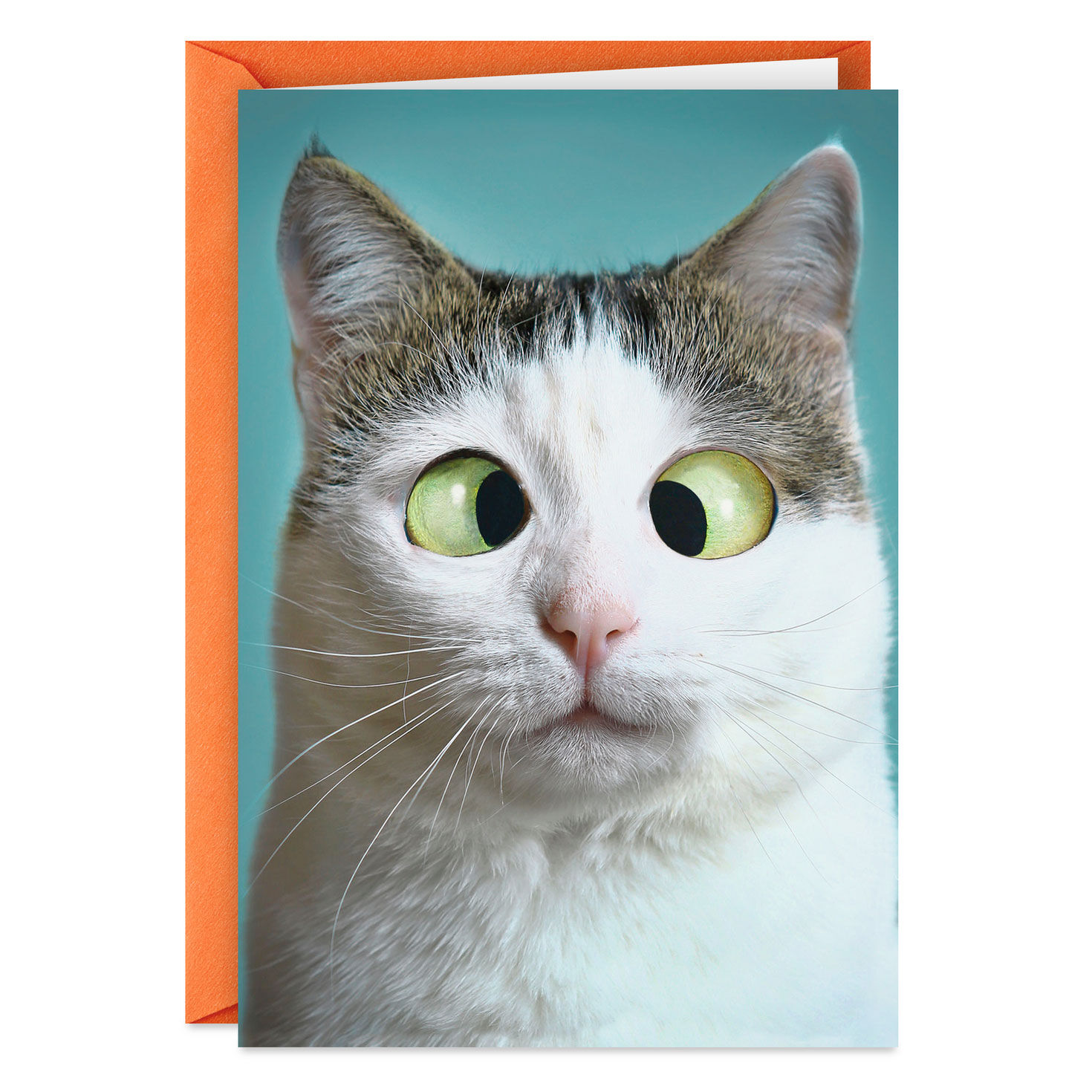 So Much Love I Can't See Straight Funny Love Card