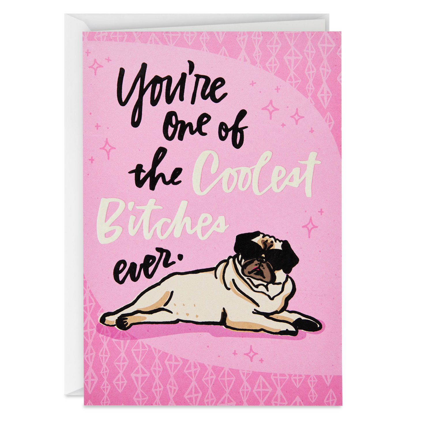 One of the Coolest Bitches Ever Funny Birthday Card