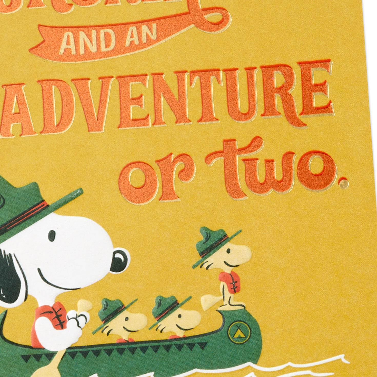 9005-peanuts-beagle-scouts-blue-skies-and-adventure-birthday-card-4.jpg Peanuts® Beagle Scouts Blue Skies and Adventure Birthday Card
