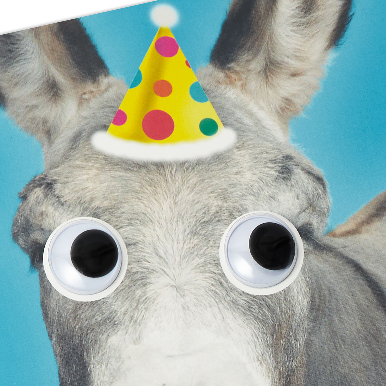 9013-whatever-makes-your-ass-happy-funny-birthday-card-4.jpg Whatever Makes Your Ass Happy Funny Birthday Card