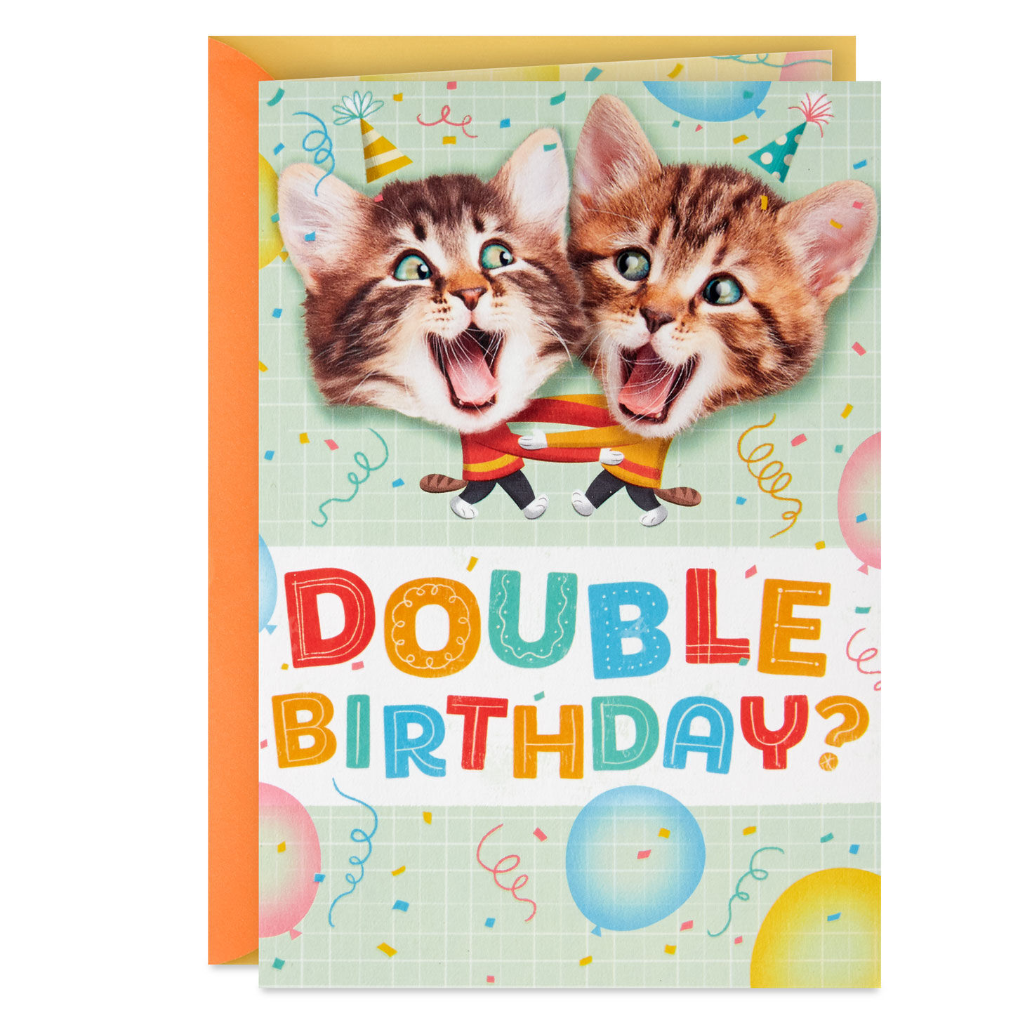 Kittens Kids Double Birthday for Twins Card