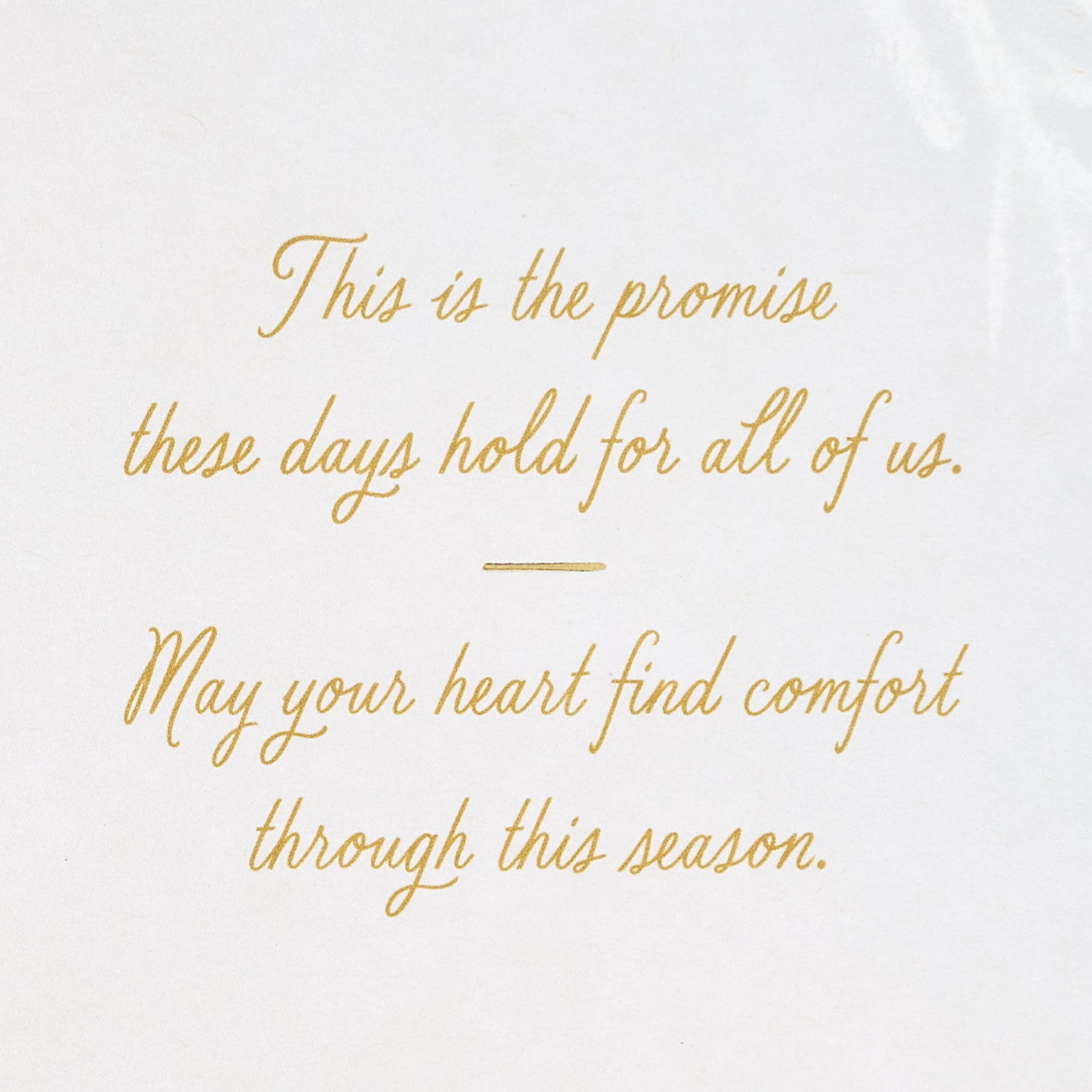 9167-may-your-heart-find-comfort-christmas-card-2.jpg May Your Heart Find Comfort Christmas Card